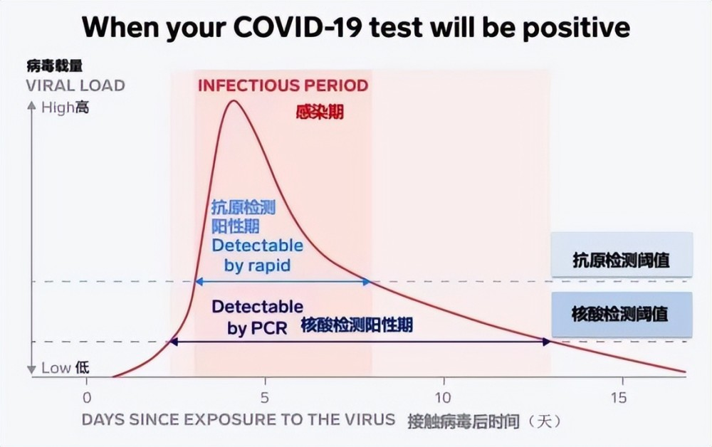 新冠陽了后，抗原需要天天做嗎？一看你就明白