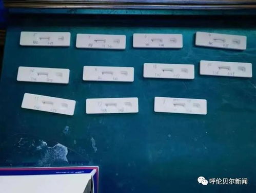 海拉爾地區首批新冠病毒抗原檢測試劑投入使用 新冠篩查再添新利器