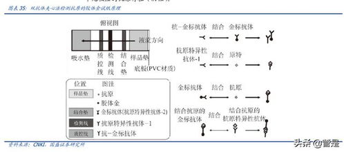 萬泰生物研究報告 公司綜合實力強勁,hpv疫苗驅動高速增長